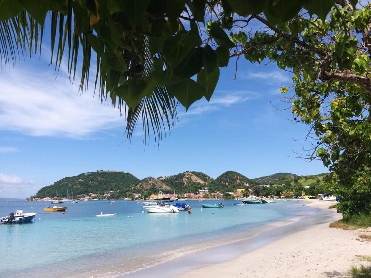 Studio 1 - Grande Anse - 4 Pers - Proche Bourg Terre-De-Haut Exteriér fotografie