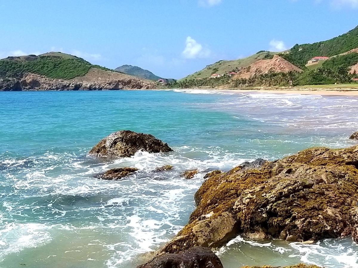 Studio 1 - Grande Anse - 4 Pers - Proche Bourg Terre-De-Haut Exteriér fotografie