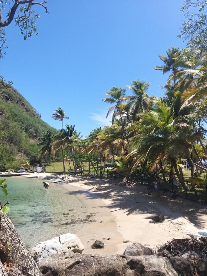 Studio 1 - Grande Anse - 4 Pers - Proche Bourg Terre-De-Haut Exteriér fotografie